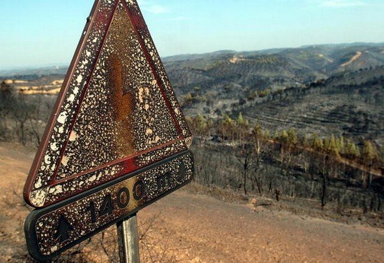 incendios-forestales