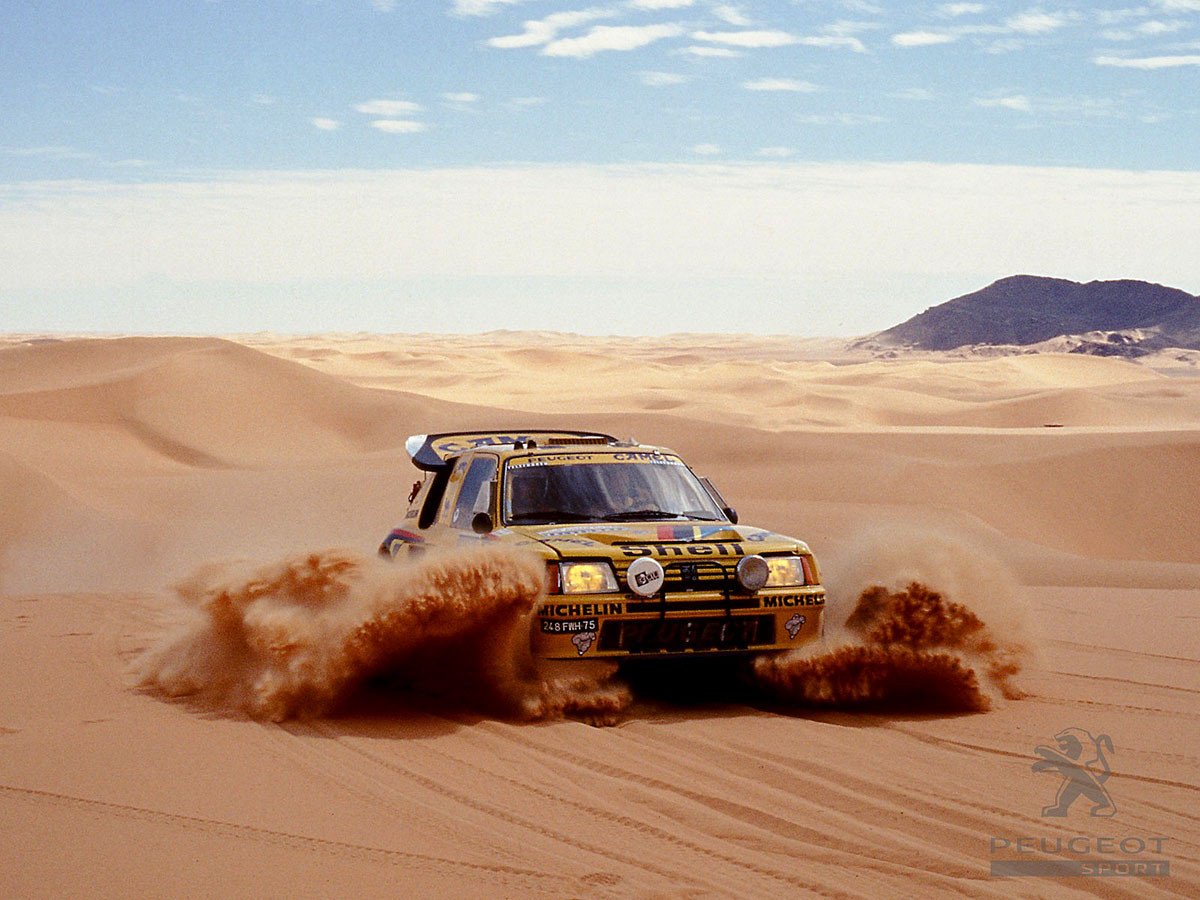 Peugeot_205_RallyRaid