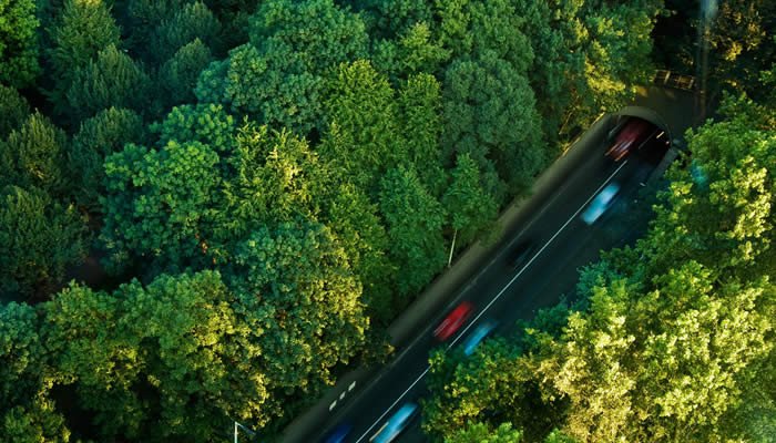 Elevar el límite de velocidad en las autopistas puede repercutir favorablemente en la seguridad vial