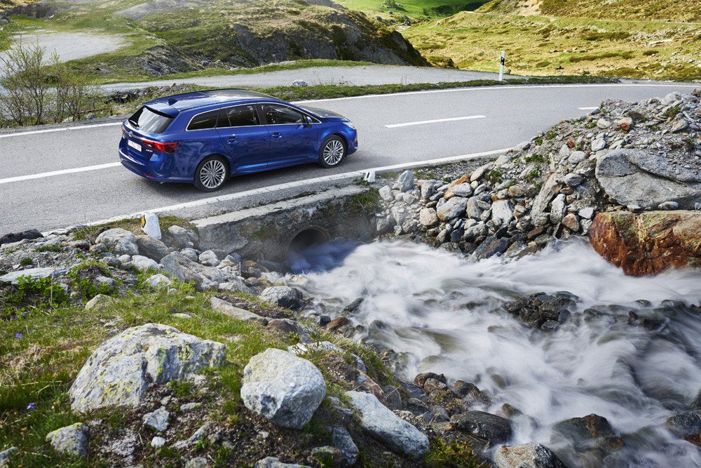 avensis