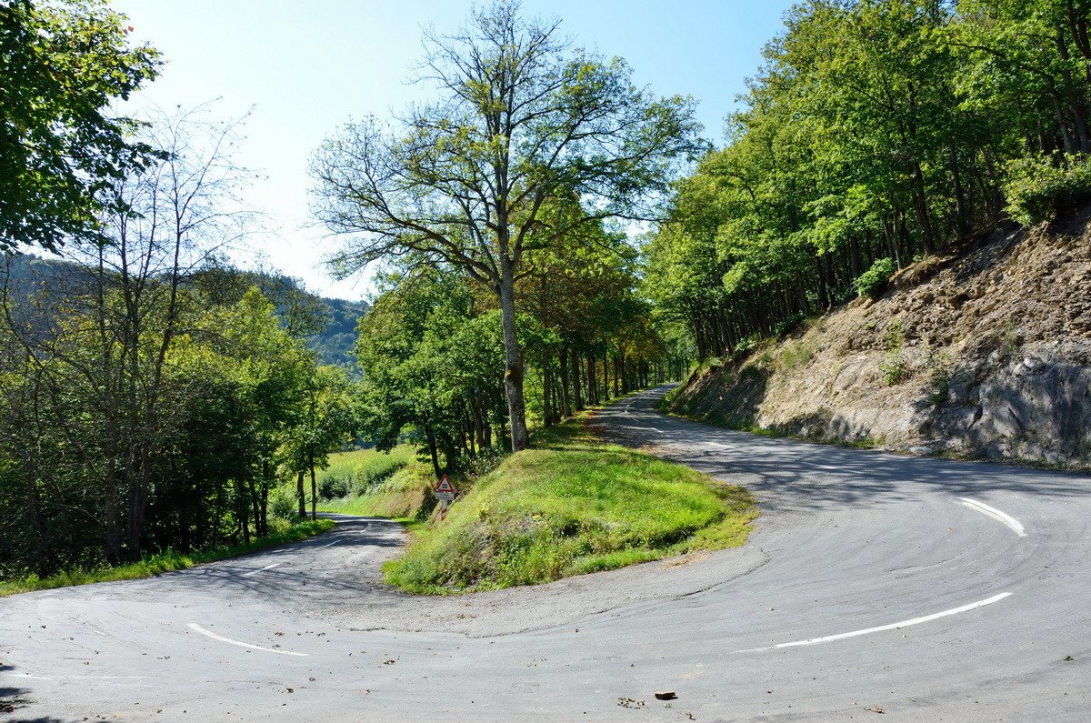curvas
