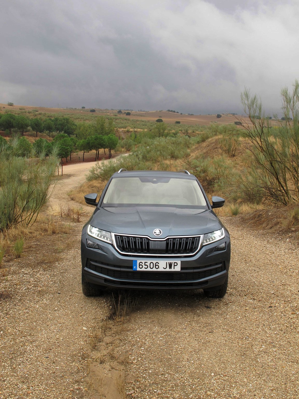 Prueba Skoda Kodiaq, elige la mejor versión
