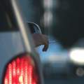 ¿Está prohibido fumar en el coche?