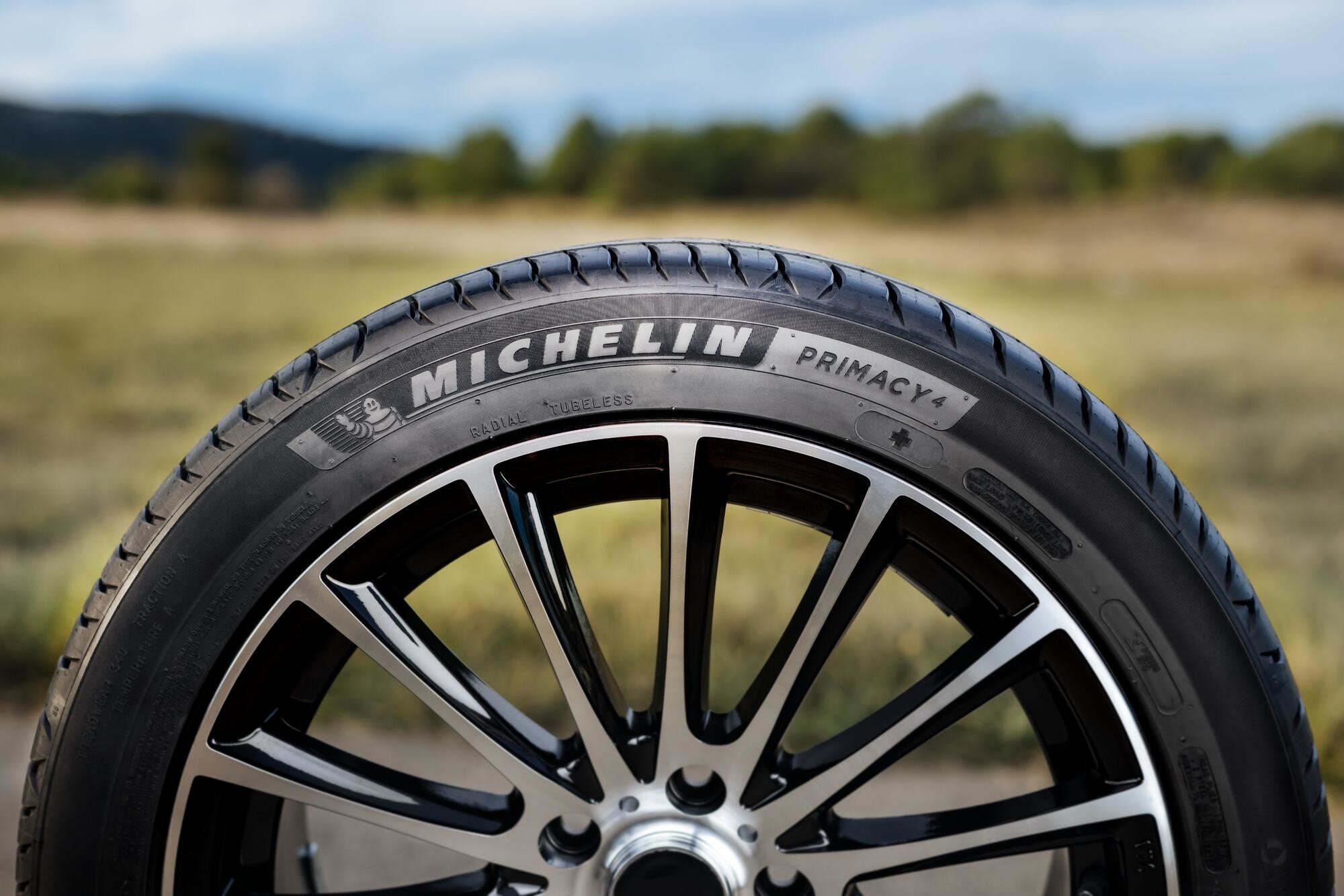 neumáticos Michelin