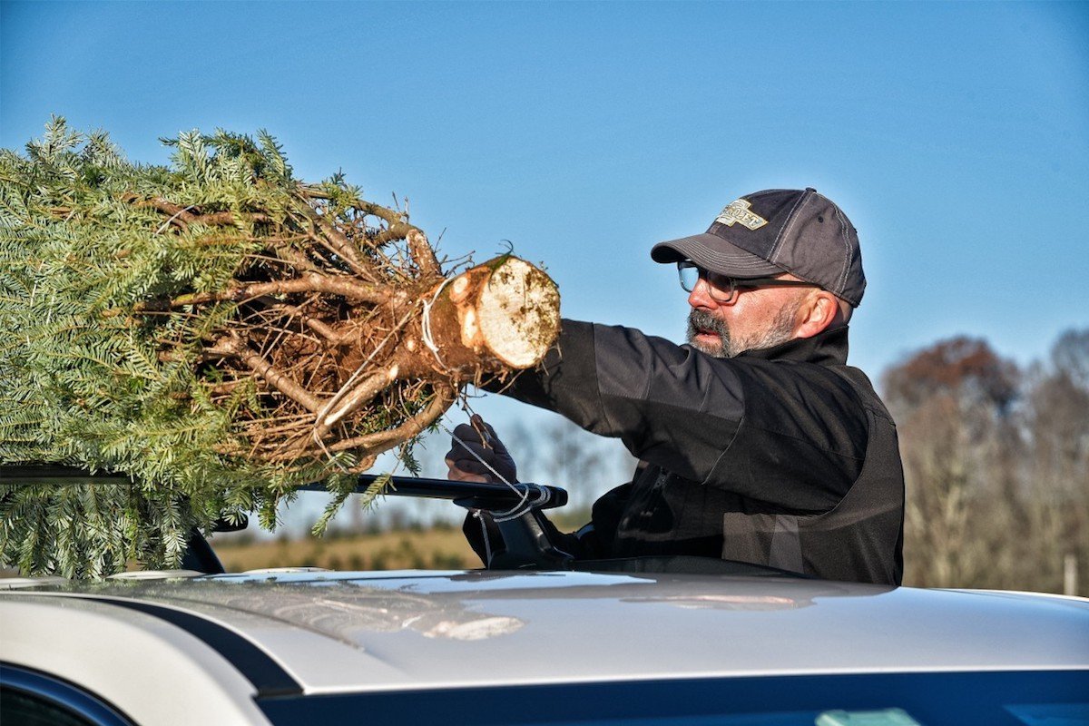 Cómo llevar un árbol de navidad en el coche