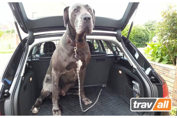 Travall lanza su nueva gama de rejas para perros