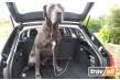 Travall lanza su nueva gama de rejas para perros