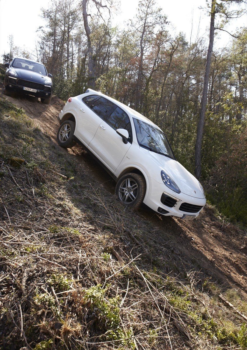 Prueba off-road: ¿hasta dónde puede llegar un Porsche Cayenne fuera del asfalto?