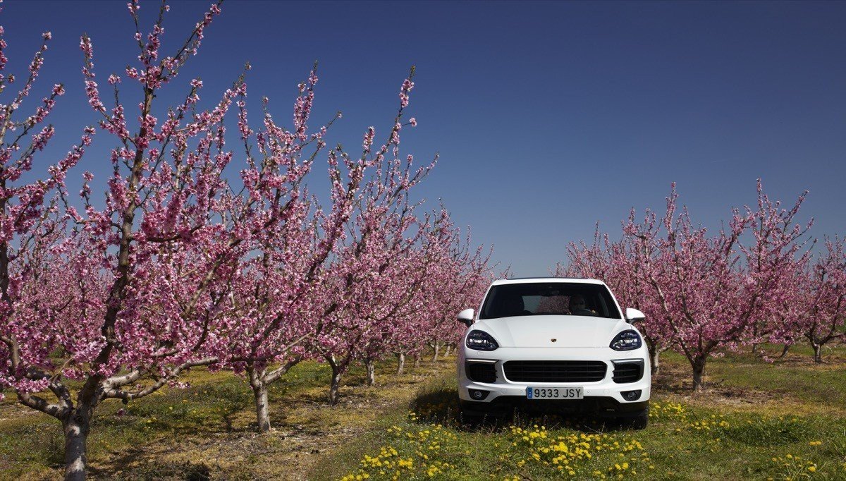 Prueba off-road: ¿hasta dónde puede llegar un Porsche Cayenne fuera del asfalto?