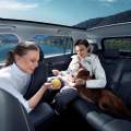 ¿Conoces el coche pet-friendly? Es chino y está pensado para cuidar a tu mascota