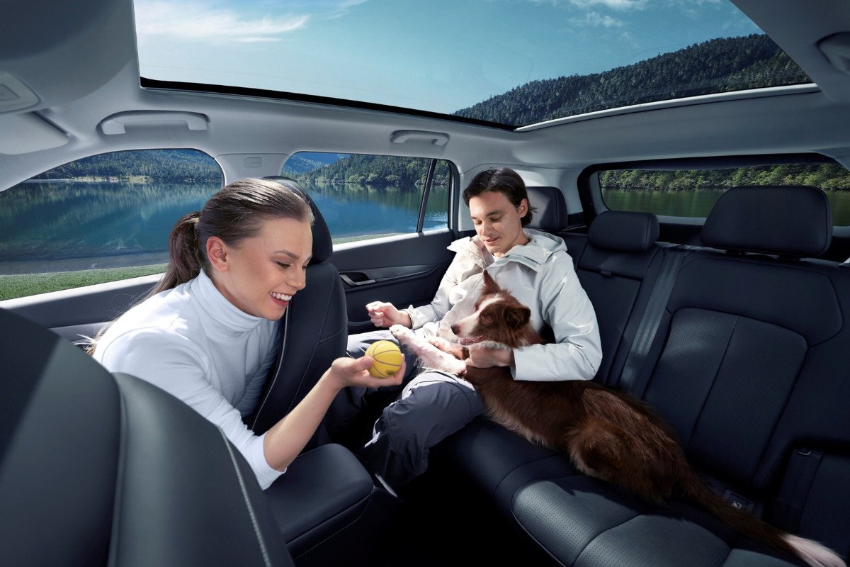 coche pet-friendly