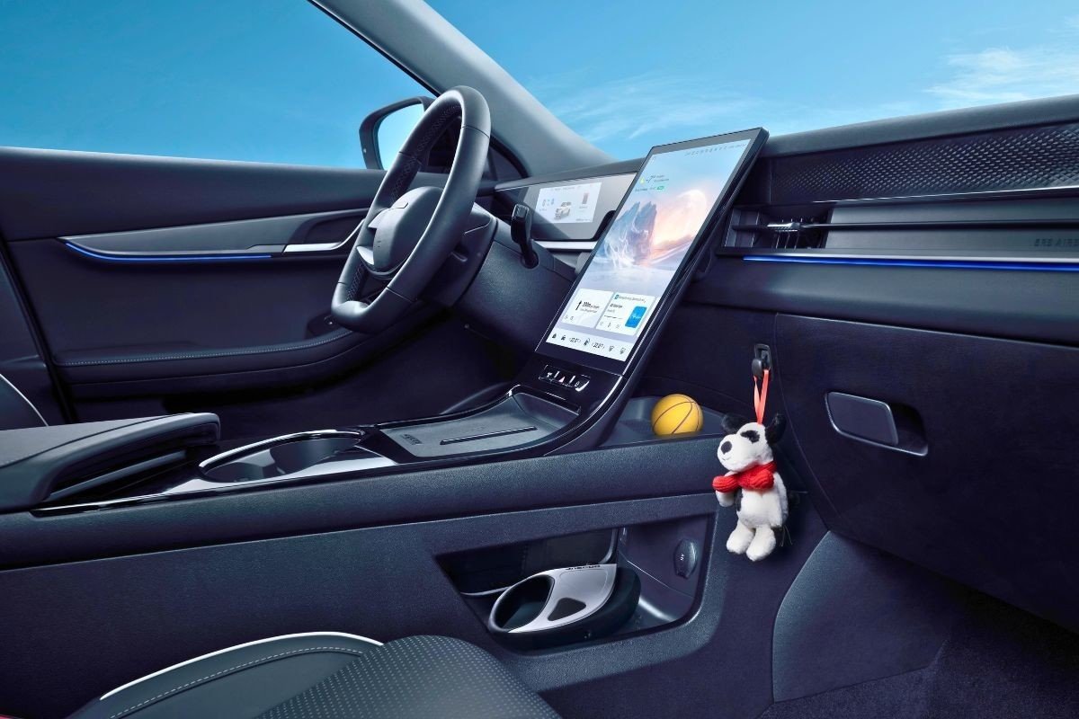coche pet-friendly