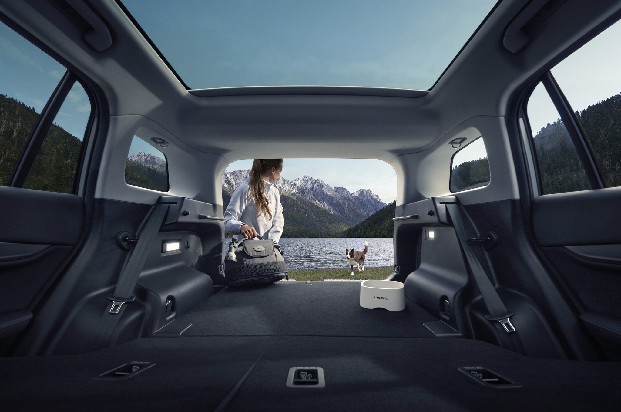 coche pet-friendly