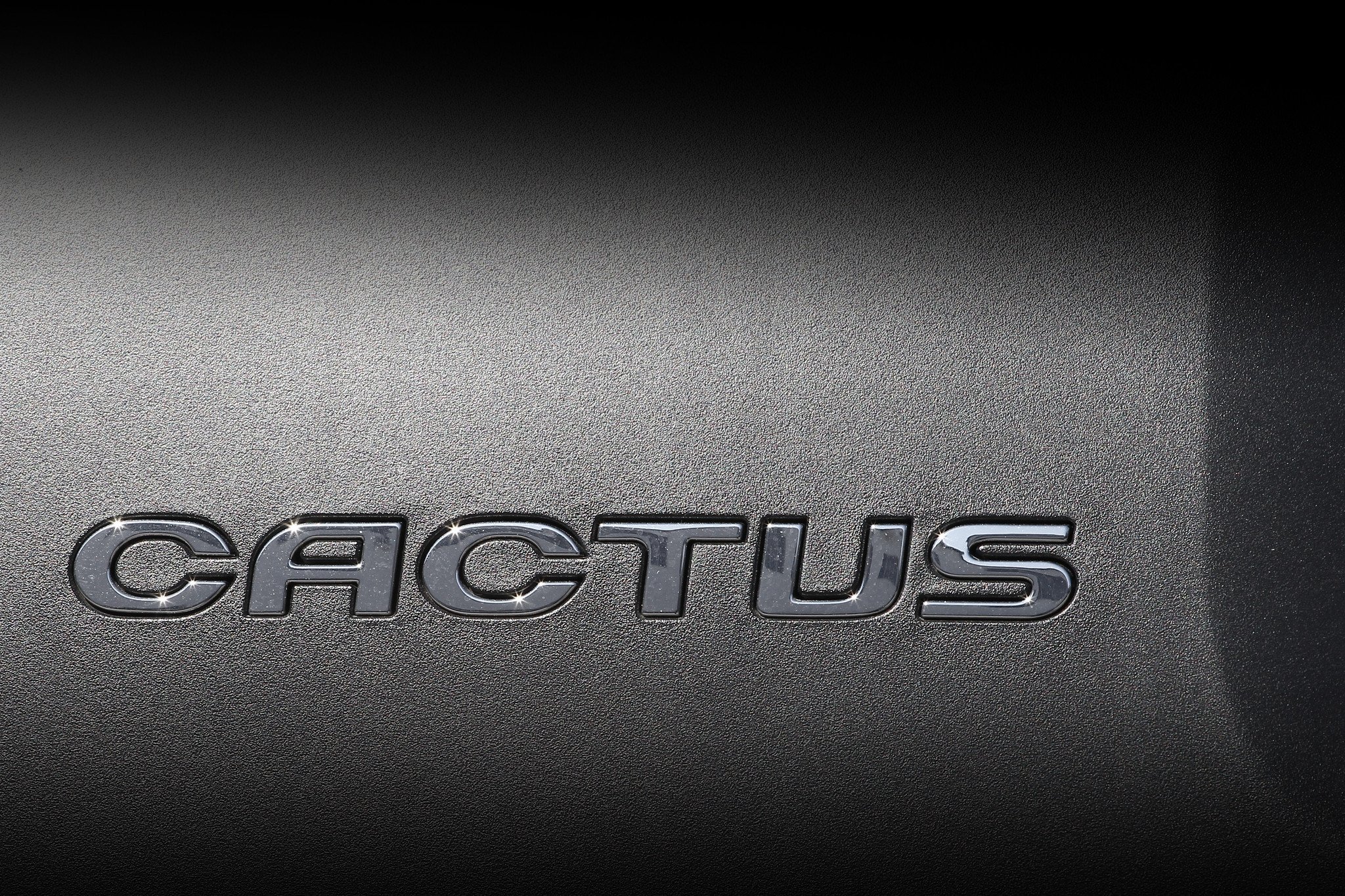 ¿Qué Citroën C4 Cactus comprar?