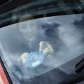 Manifestación contra Madrid 360: los coches sin etiqueta quieren entrar