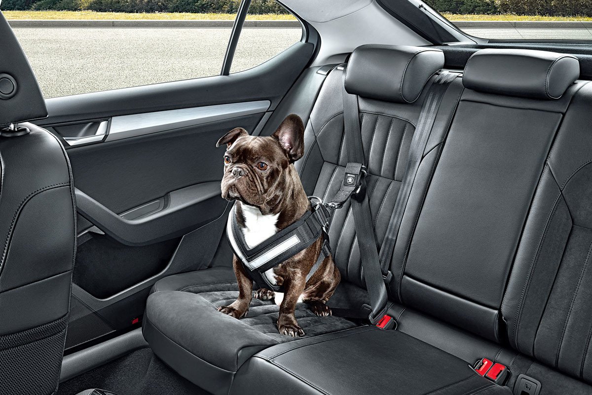 Skoda Simply Clever: conoce las soluciones que hacen tan interesantes a los Skoda