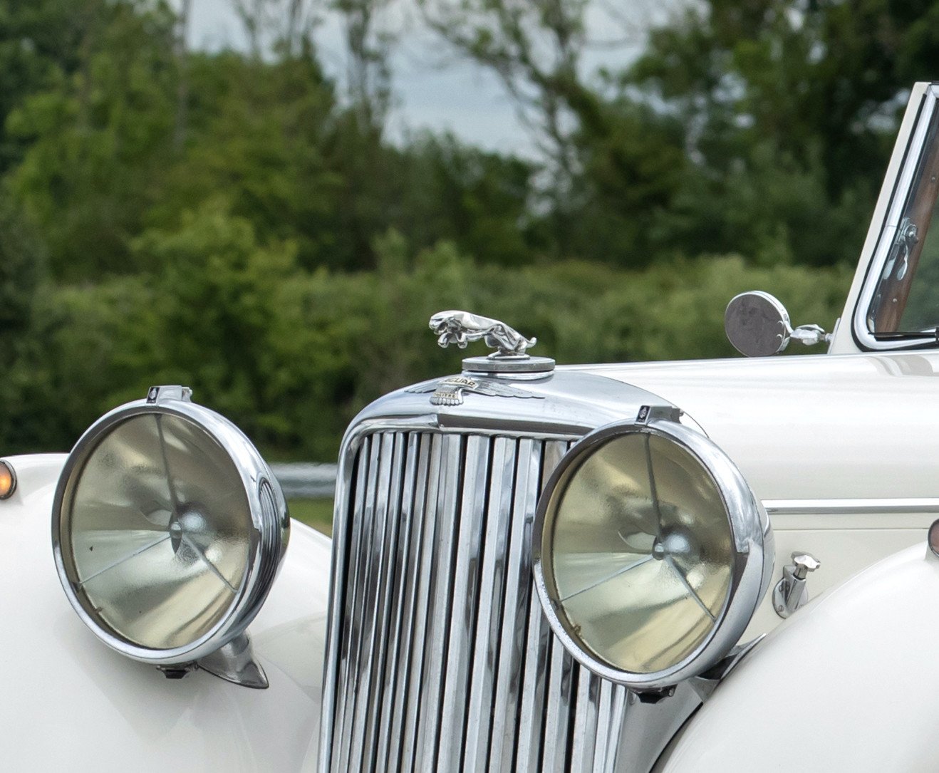 jaguar logo en capó