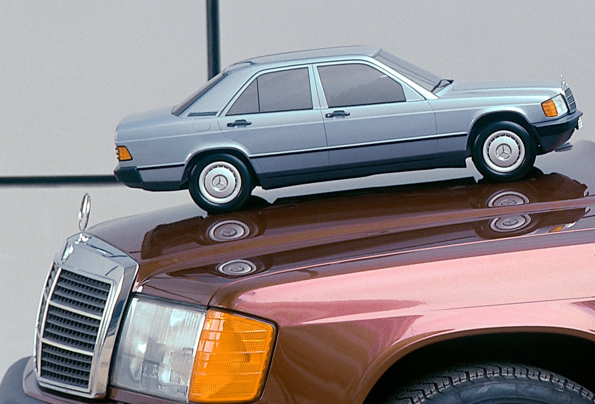 mercedes estrella en capó