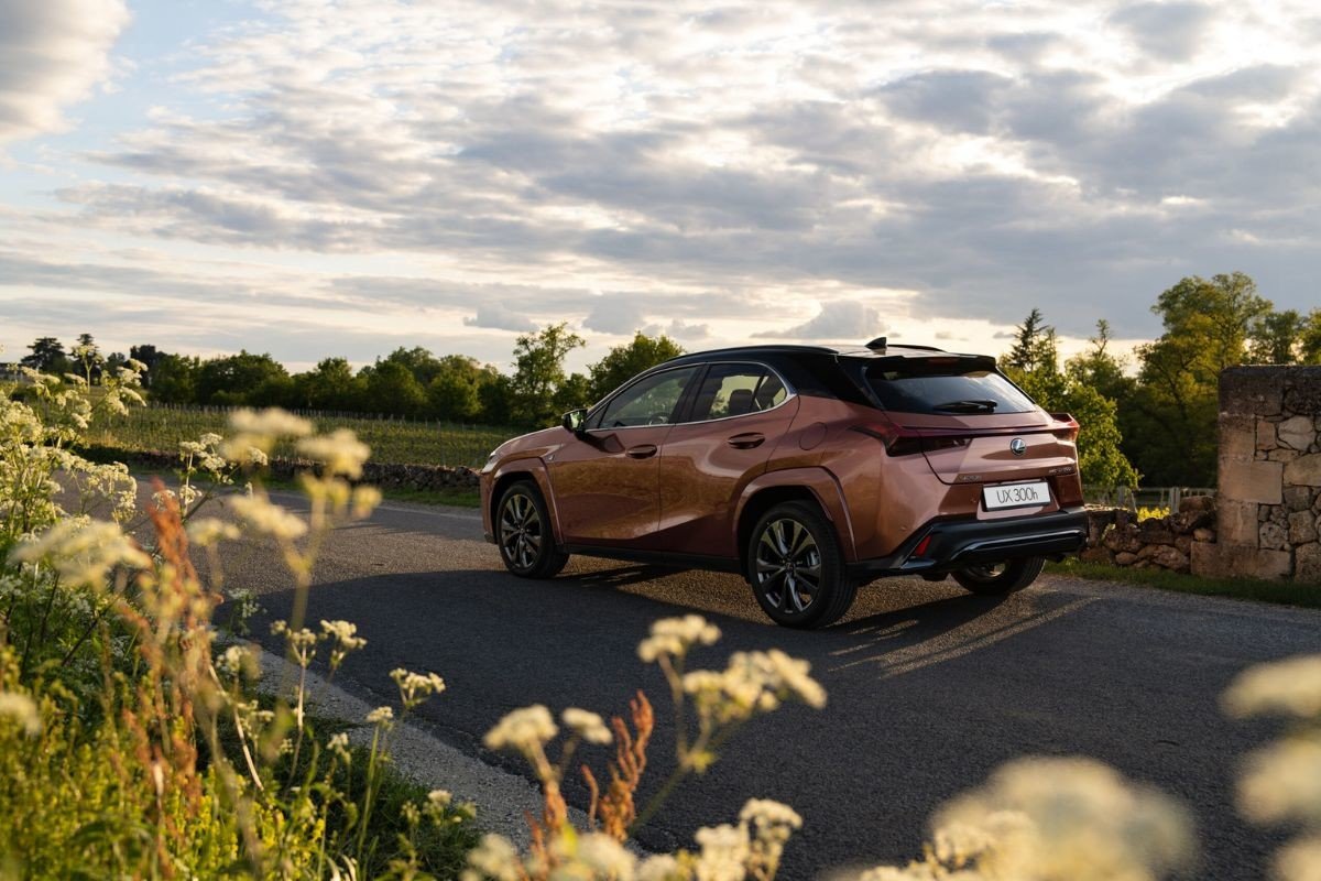 Lexus-UX300h-trasera-2