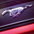 Ford Mustang 2014, el 5 de diciembre presentado mundialmente