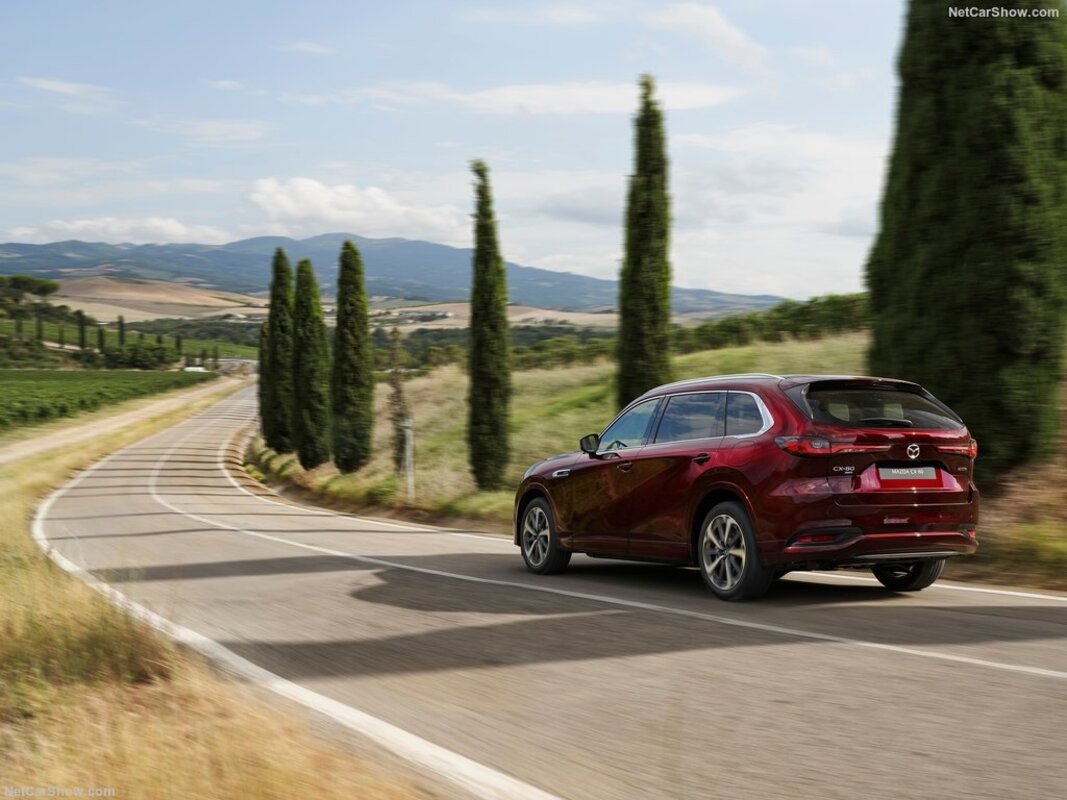 Comparativa de tres SUV de 7 plazas con etiqueta ECO: variopintos y versátiles