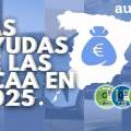 Todas las ayudas que dan las Comunidades Autónomas en la compra de un coche nuevo en 2025