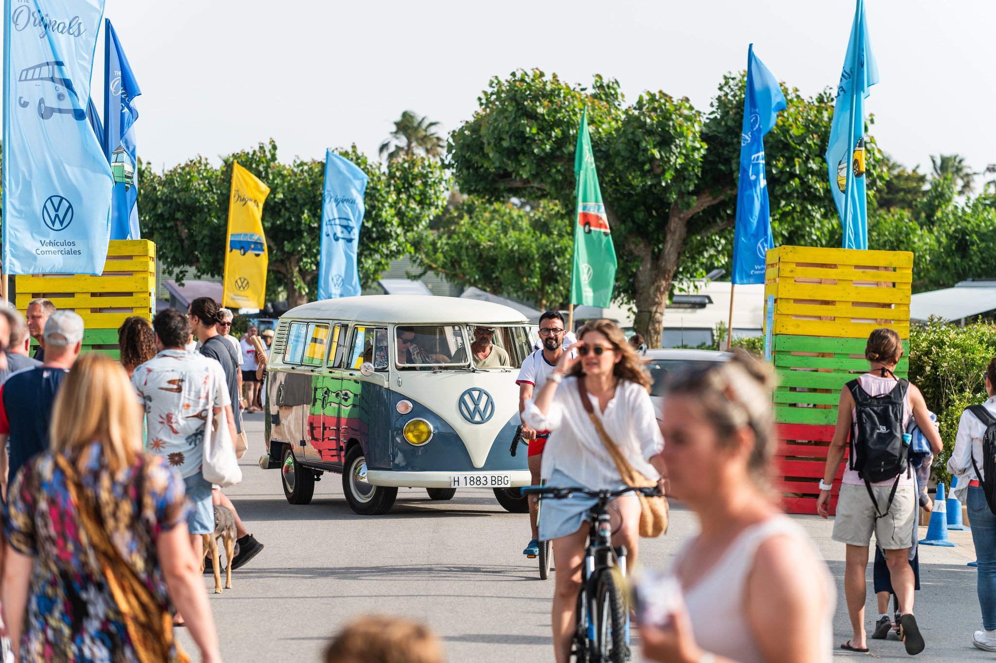 FurgoVolkswagen 2024
