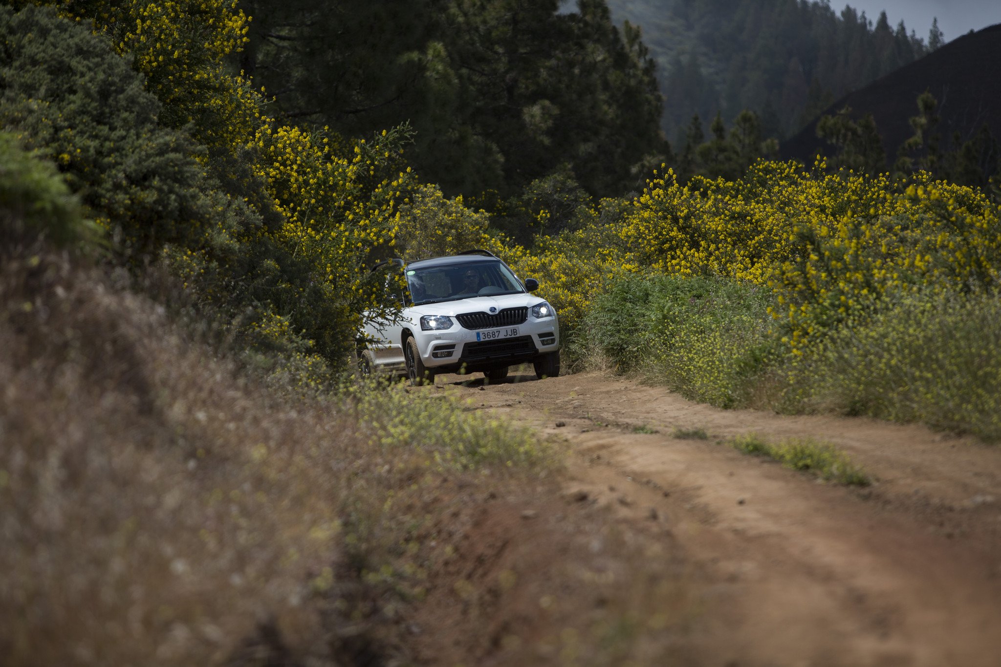 Prueba gama 4x4 Skoda 2016: más todoterreno que nunca Prueba gama 4x4 Skoda 2016: más todoterreno que nunca
