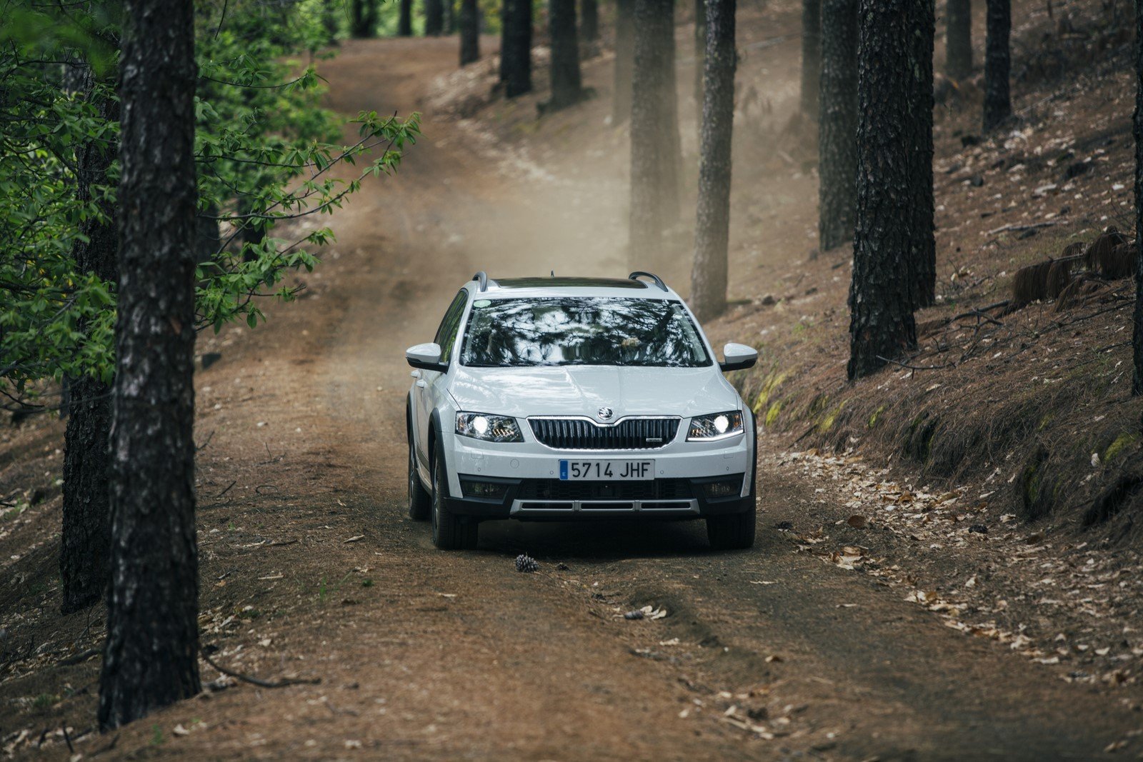Prueba gama 4x4 Skoda 2016: más todoterreno que nunca Prueba gama 4x4 Skoda 2016: más todoterreno que nunca