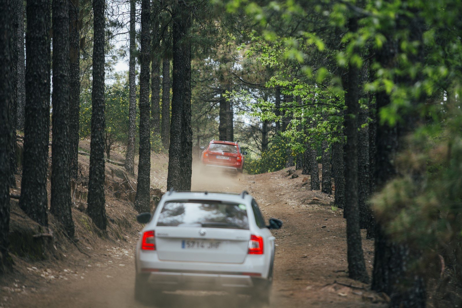 Prueba gama 4x4 Skoda 2016: más todoterreno que nunca Prueba gama 4x4 Skoda 2016: más todoterreno que nunca