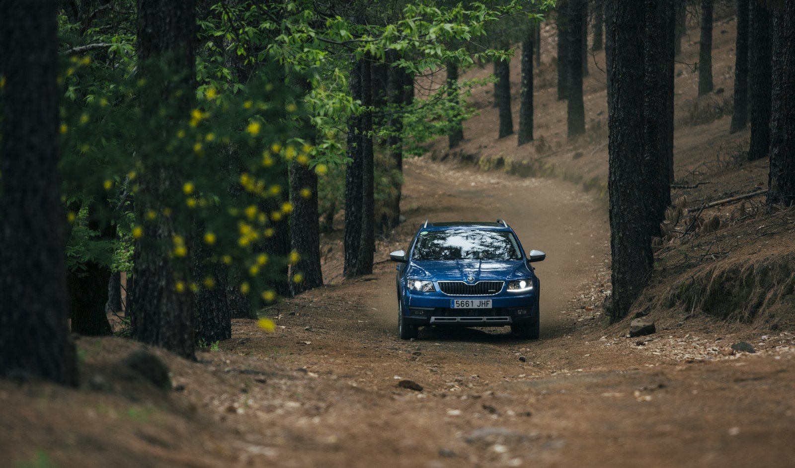 Prueba gama 4x4 Skoda 2016: más todoterreno que nunca Prueba gama 4x4 Skoda 2016: más todoterreno que nunca