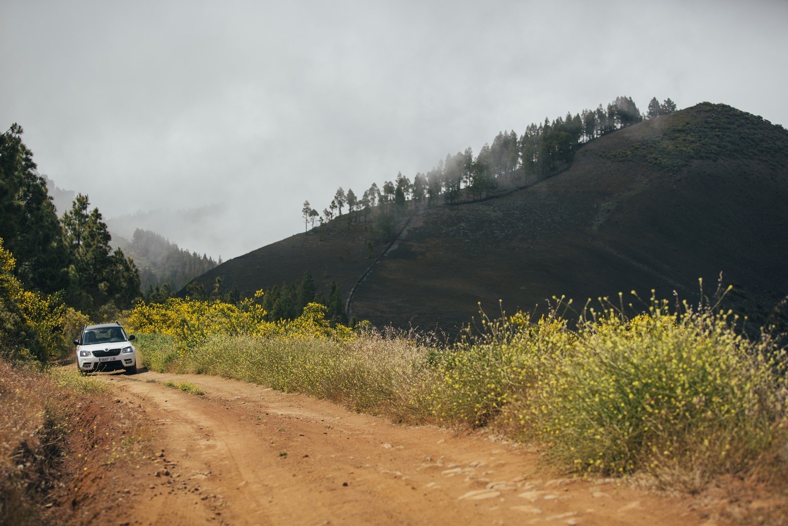 Prueba gama 4x4 Skoda 2016: más todoterreno que nunca Prueba gama 4x4 Skoda 2016: más todoterreno que nunca