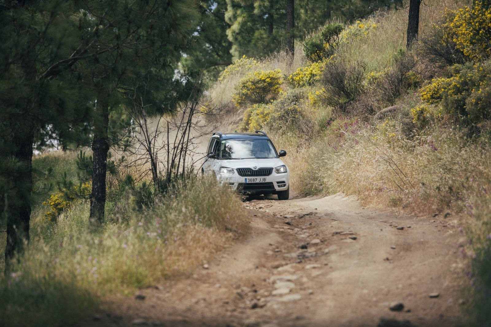 Prueba gama 4x4 Skoda 2016: más todoterreno que nunca Prueba gama 4x4 Skoda 2016: más todoterreno que nunca