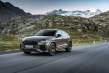 Audi RS Q3 10 years edition: 555 unidades limitadas del SUV deportivo para 2023