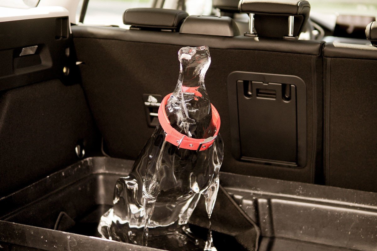 Ford ayuda a prevenir que niños y mascotas se queden dentro del coche a pleno sol