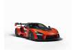 McLaren Senna: 800 CV para un supercoche campeón
