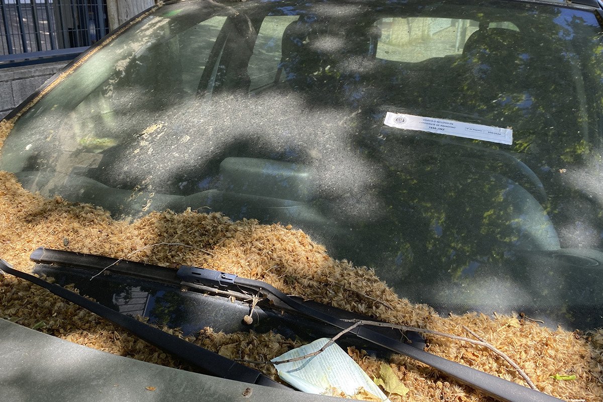 ¿Cuándo se considera que un coche está abandonado?