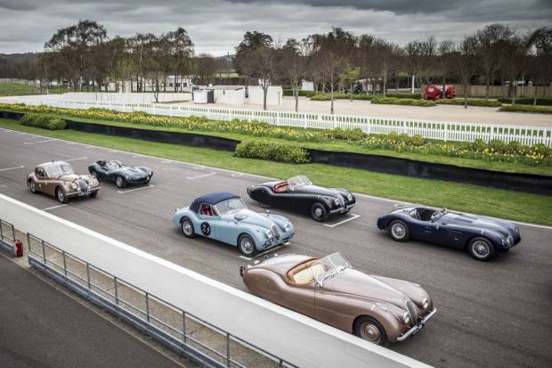 Jaguar en la Mille Miglia 2014
