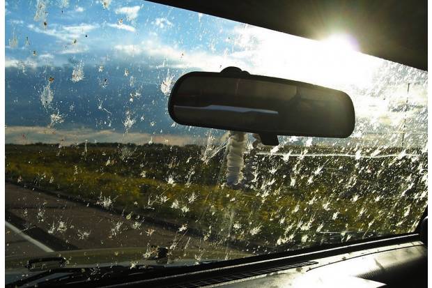 Cómo cuidar el parabrisas del coche en verano