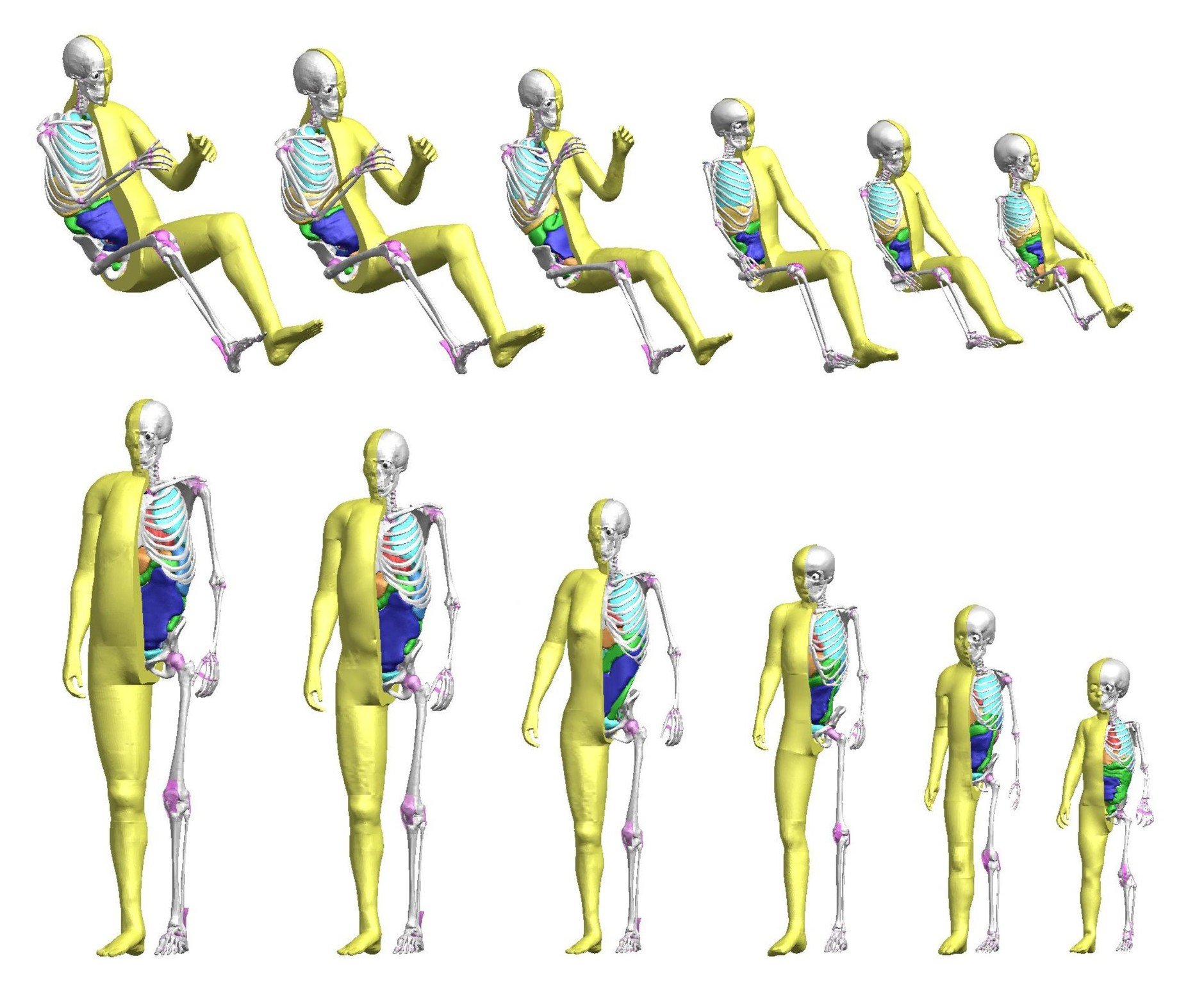 THUMS: nuevos dummies infantiles virtuales de Toyota