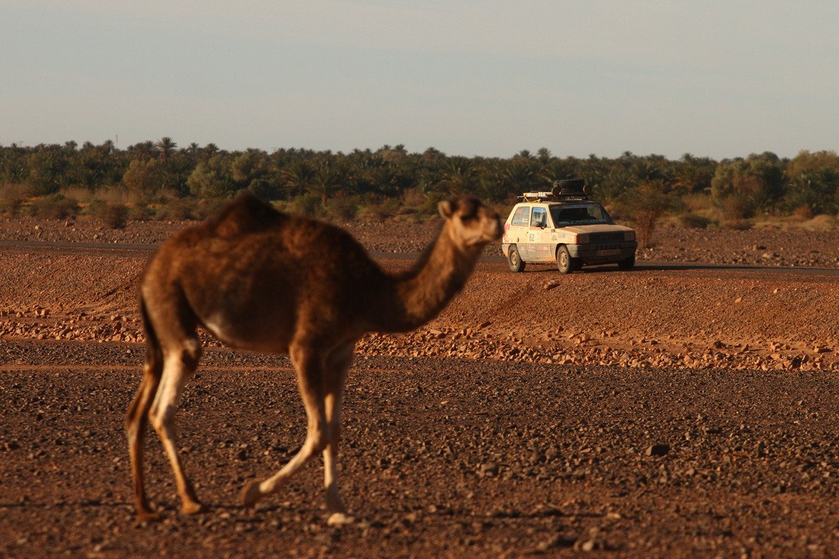 Sexta edición del Panda Raid: 145 equipos solidarios rumbo a Marruecos
