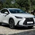 ¿Dudas entre los nuevos Lexus NX Premium Plus y Executive Plus? Te ayudamos a elegir