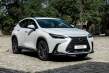 ¿Dudas entre los nuevos Lexus NX Premium Plus y Executive Plus? Te ayudamos a elegir
