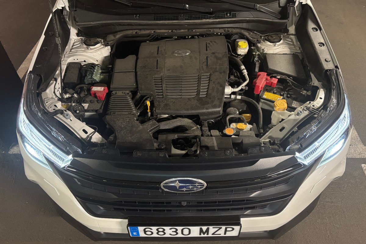 Prueba Subaru Forester: de los SUV 4x4 con etiqueta ECO que mejor se mueve en carretera