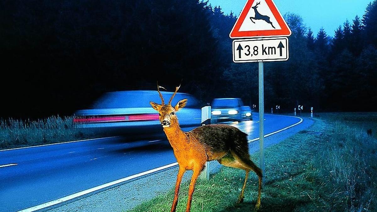 Accidente