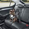 Nueva gama de accesorios de Skoda