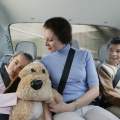 Cinturones de seguridad en el coche: 10 claves para ir seguros