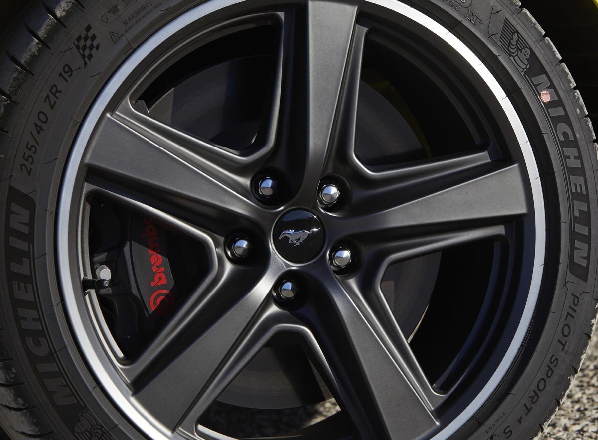 Prueba Ford Mustang Mach1: precios, datos y opinión de un coche de carreras