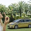 La potencia ideal: ¿110cv?