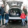 Preguntas frecuentes sobre cómo llevar a tu perro en el coche 